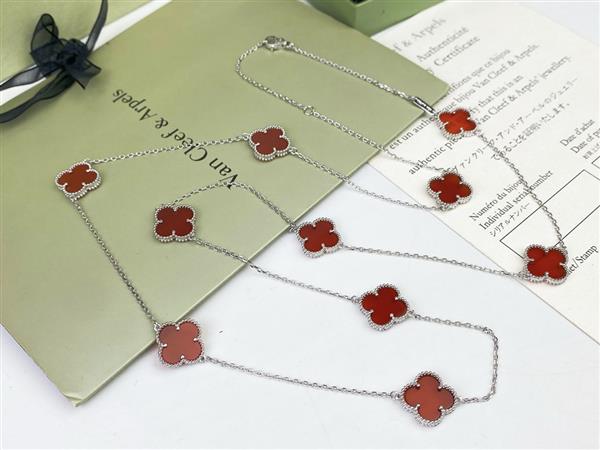 2024210162118677 105